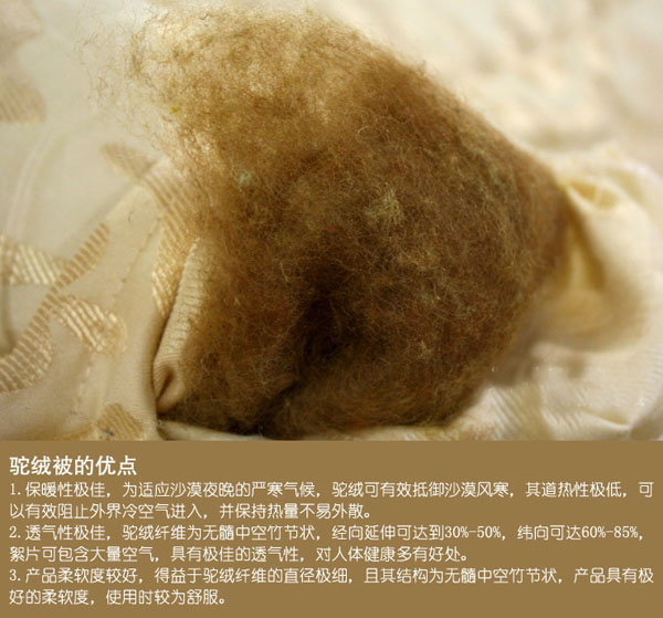 milan米兰app官网