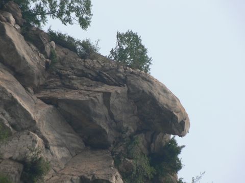 milan米兰app官网