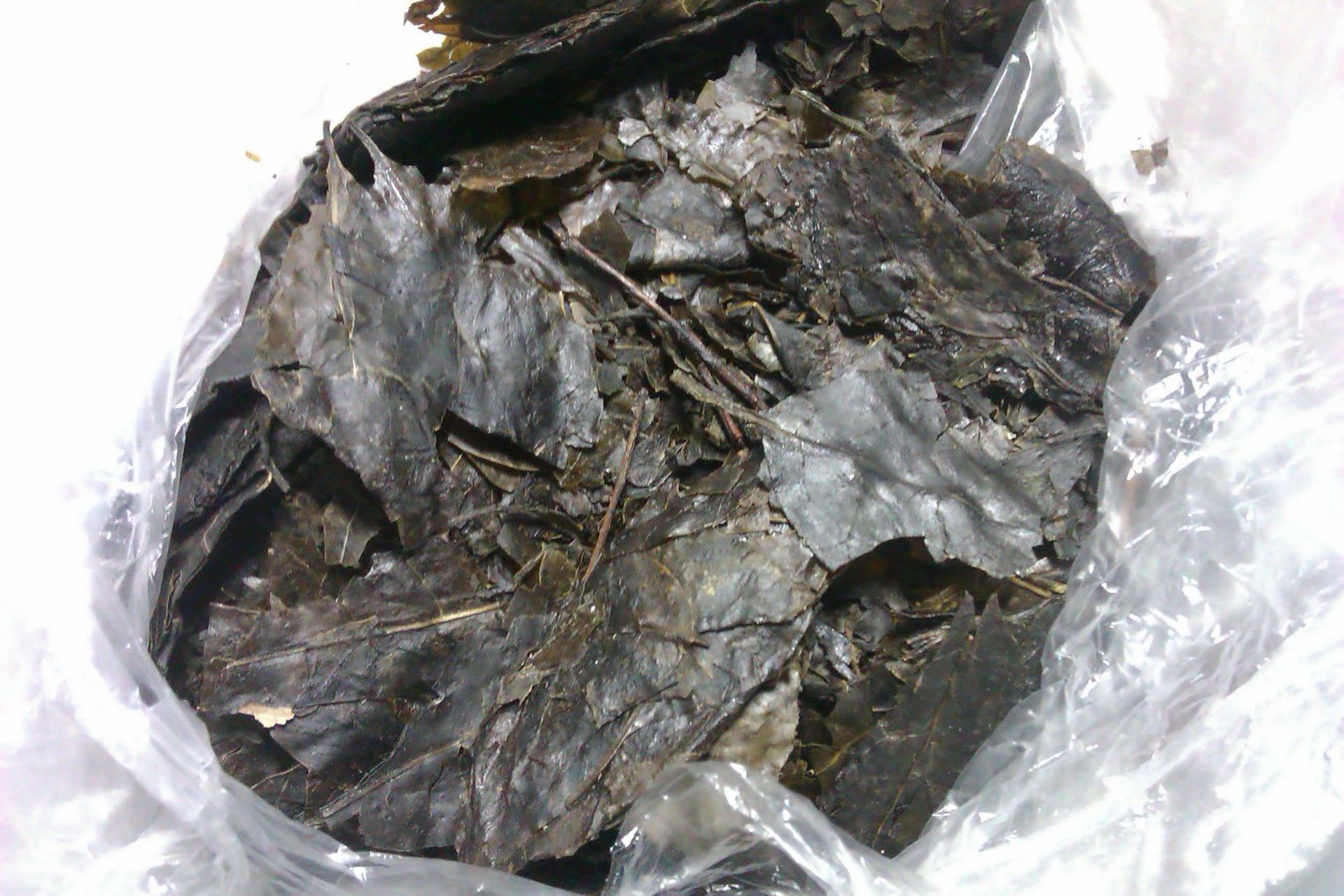 milan米兰app官网