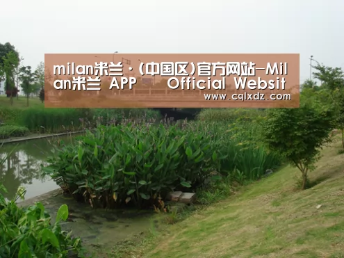 案例展示四(图1)