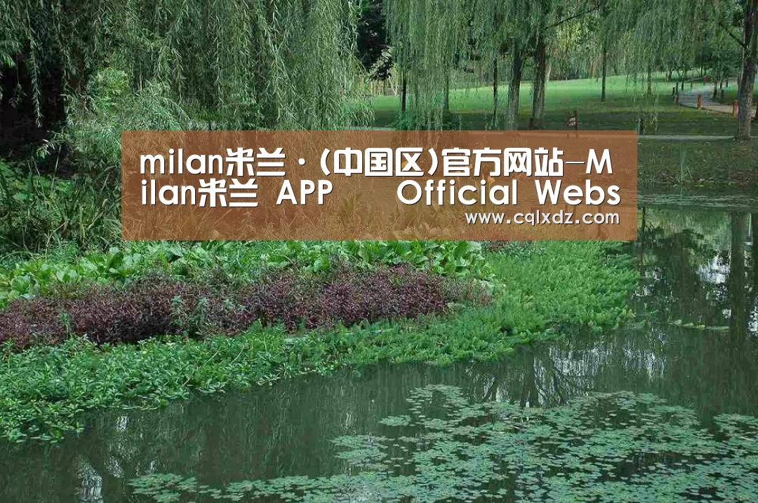 案例展示一(图1)