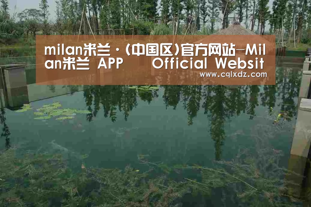 案例展示二(图1)