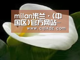产品名称七