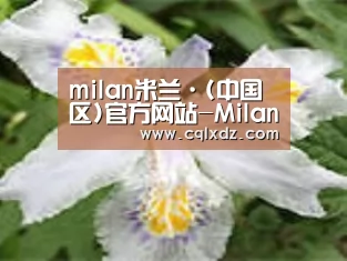 产品名称二