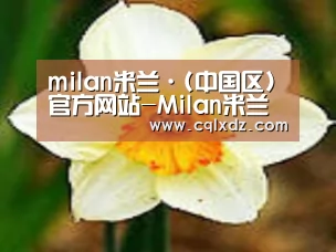 产品名称四