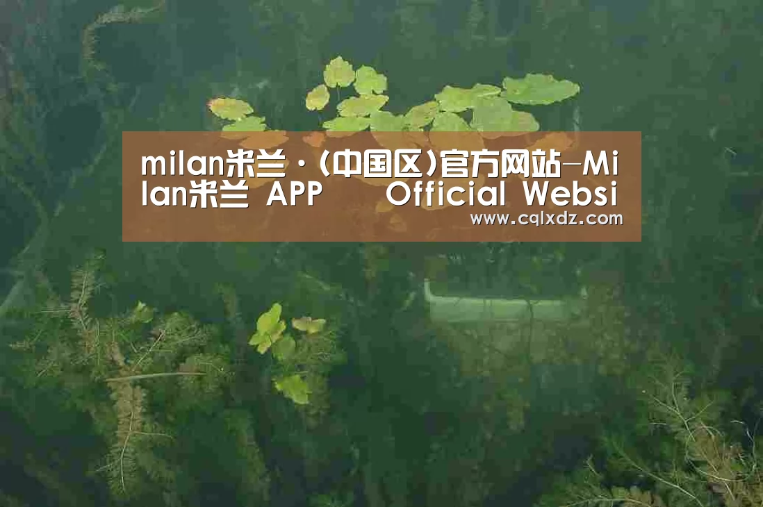 案例展示三