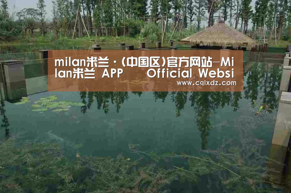案例展示二