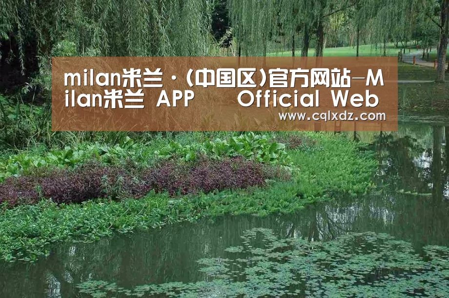案例展示一
