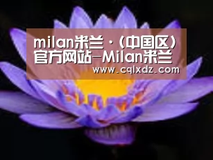 产品名称六