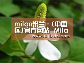 产品名称三