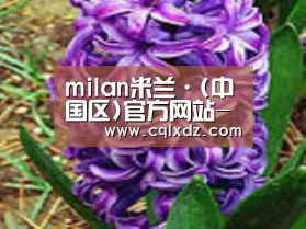 产品名称八