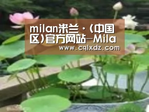 产品名称一