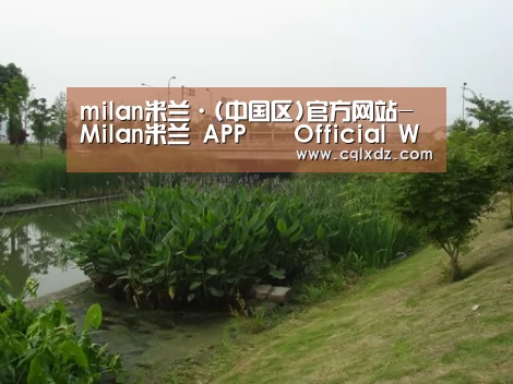 案例展示四