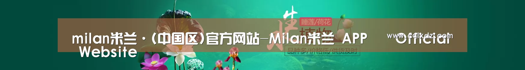 鲜花水草花卉网站模板
