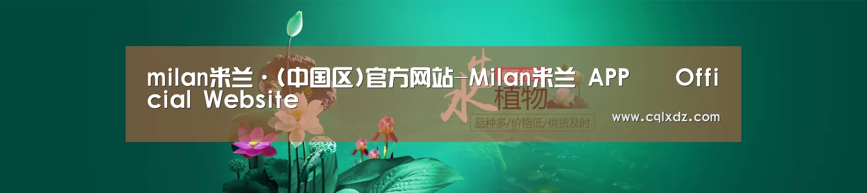 鲜花水草花卉网站模板