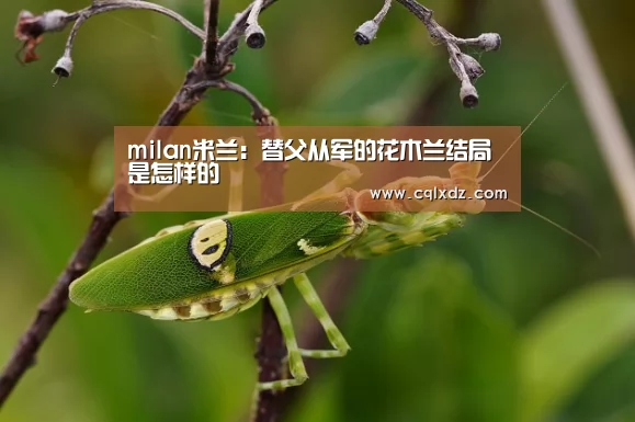 milan米兰:替父从军的花木兰结局是怎样的(图3) milan米兰app官网
