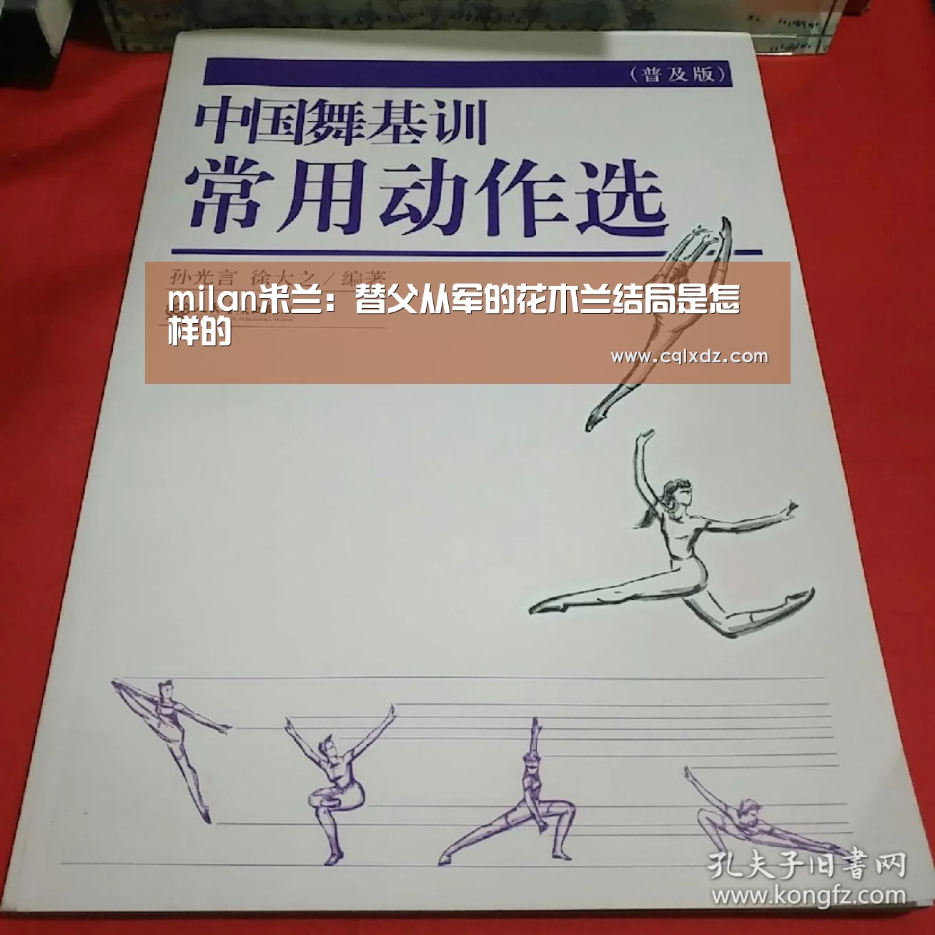milan米兰:替父从军的花木兰结局是怎样的(图4) 米兰官方网站