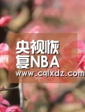 
央视恢复NBA直播 是中国球迷的需求也是历史的一定‘milan米兰app官网’