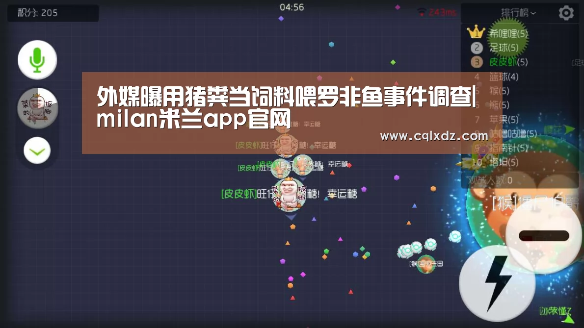 米兰官方网站