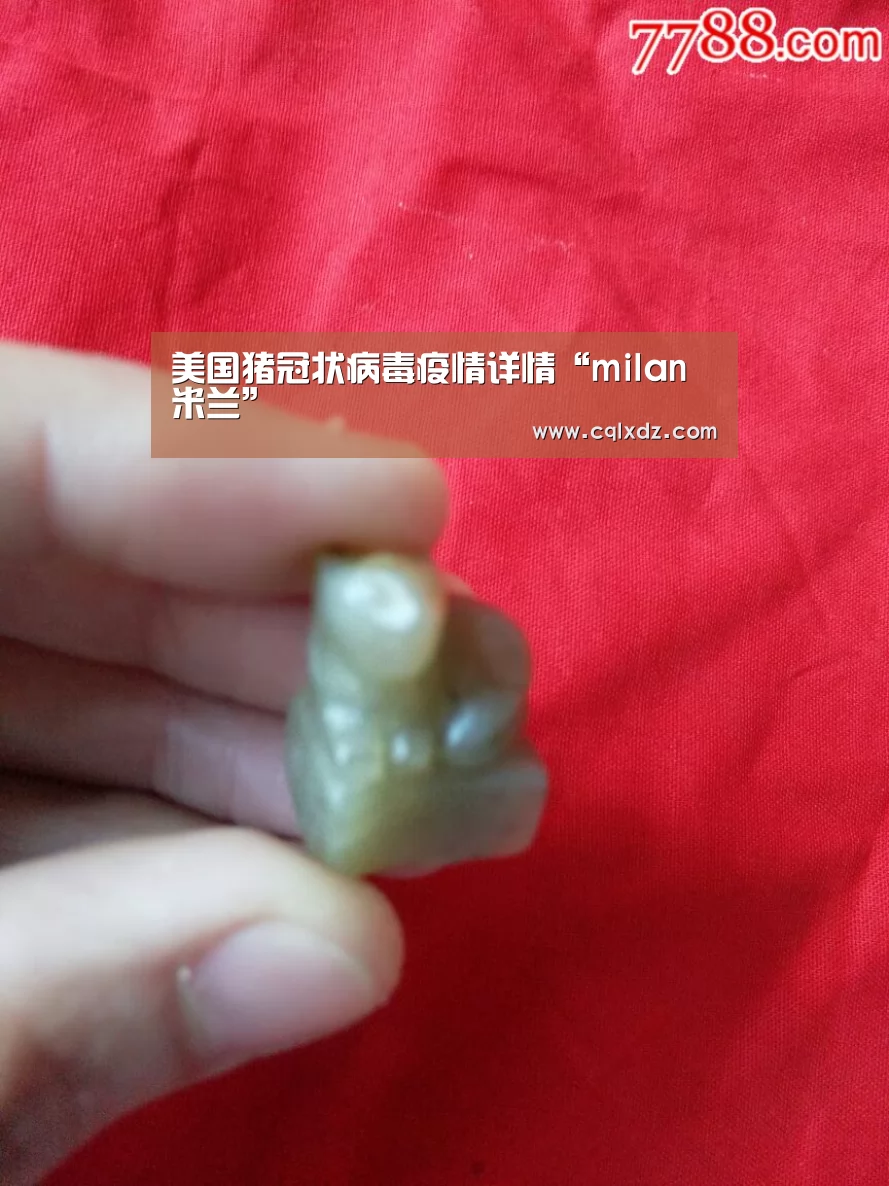美国猪冠状病毒疫情详情“milan米兰”(图2) milan米兰app官网