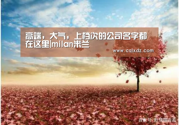 高端,大气,上档次的公司名字都在这里|milan米兰(图3) milan米兰