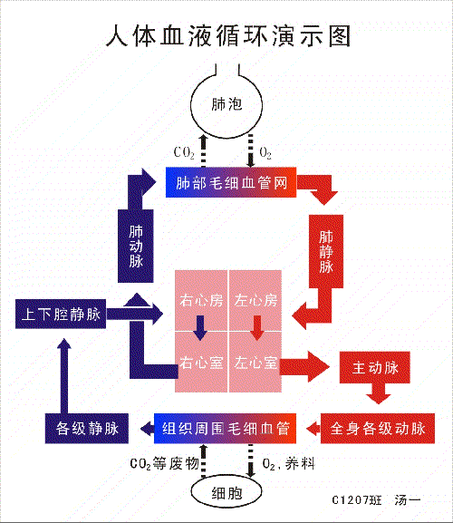 milan米兰：官宣！欧冠8月12日重燃战火，从1/4决赛开始为单场淘汰制！