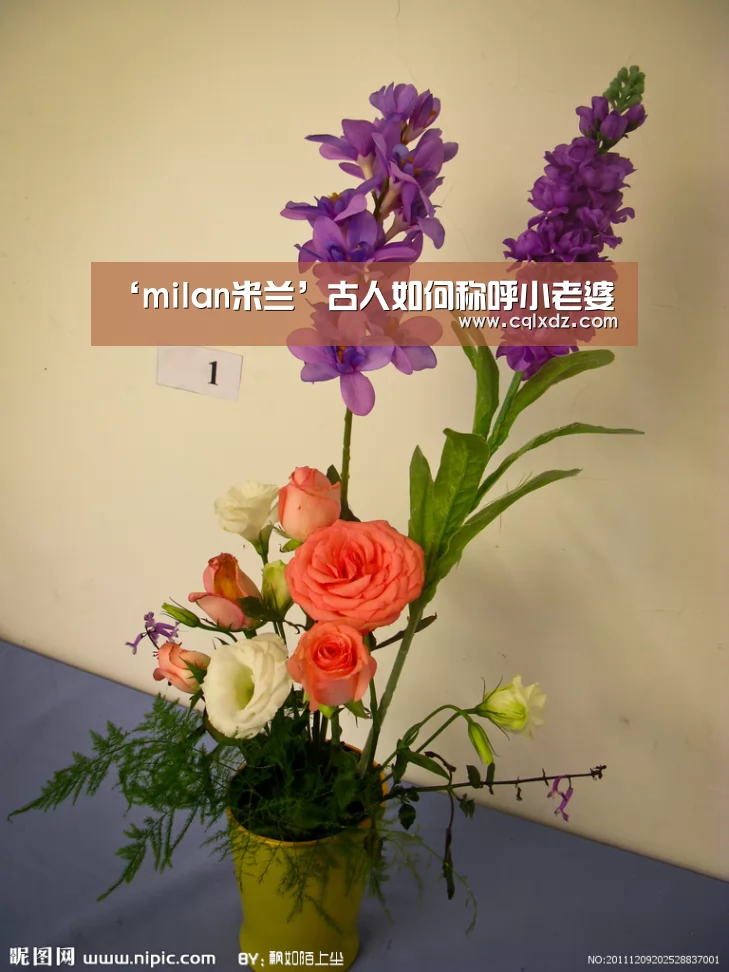 米兰官方网站