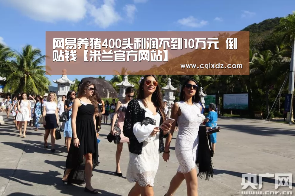 网易养猪400头利润不到10万元 倒贴钱【米兰官方网站】(图1) milan米兰app官网