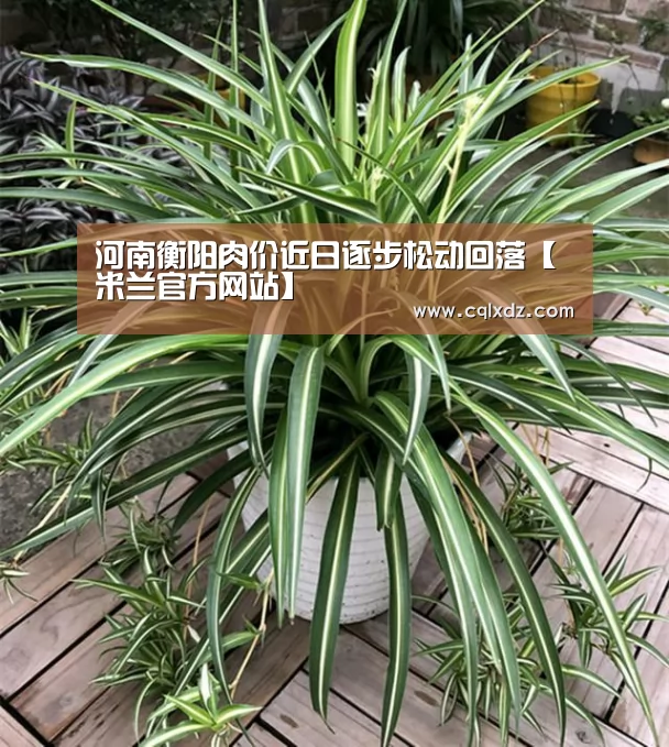 米兰官方网站
