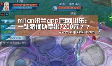 milan米兰app官网|山东:一头猪何以卖出7200元???(图1) milan米兰app官网