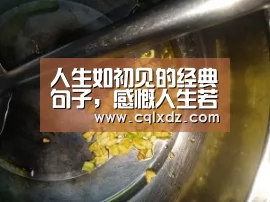 人生如初见的经典句子,感慨人生若只如初见的句子|milan米兰app官网(图1) 米兰官方网站