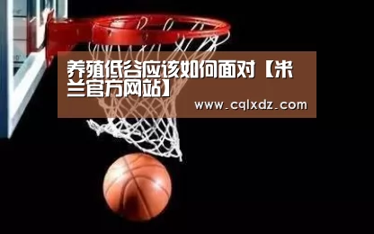 养殖低谷应该如何面对【米兰官方网站】(图1) milan米兰app官网