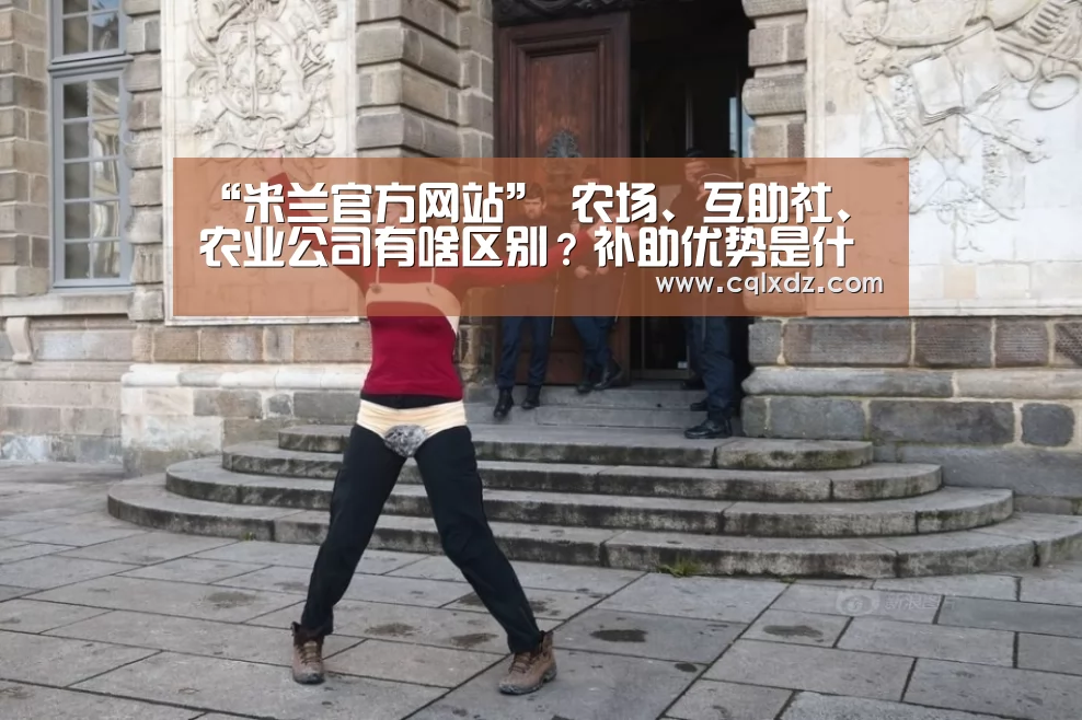 “米兰官方网站”
农场、互助社、农业公司有啥区别?补助优势是什么?(图2) milan米兰app官网