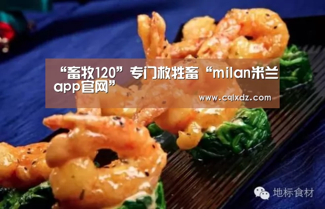 milan米兰